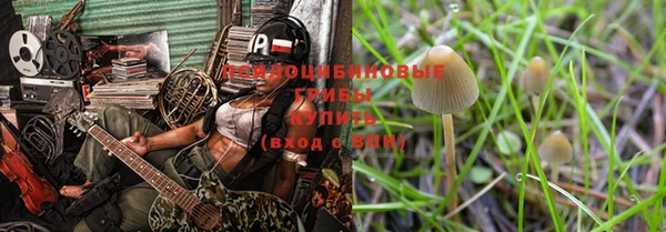 стафф Абдулино